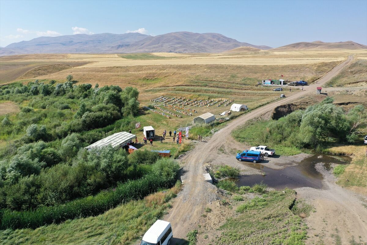 Zengin floraya sahip Ağrı'da tescilli geven balında 357 ton verim bekleniyor
