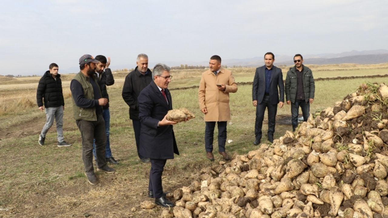 AĞRI MERKEZ OZANLAR KÖYÜNDE PANCAR HASADI YAPILDI