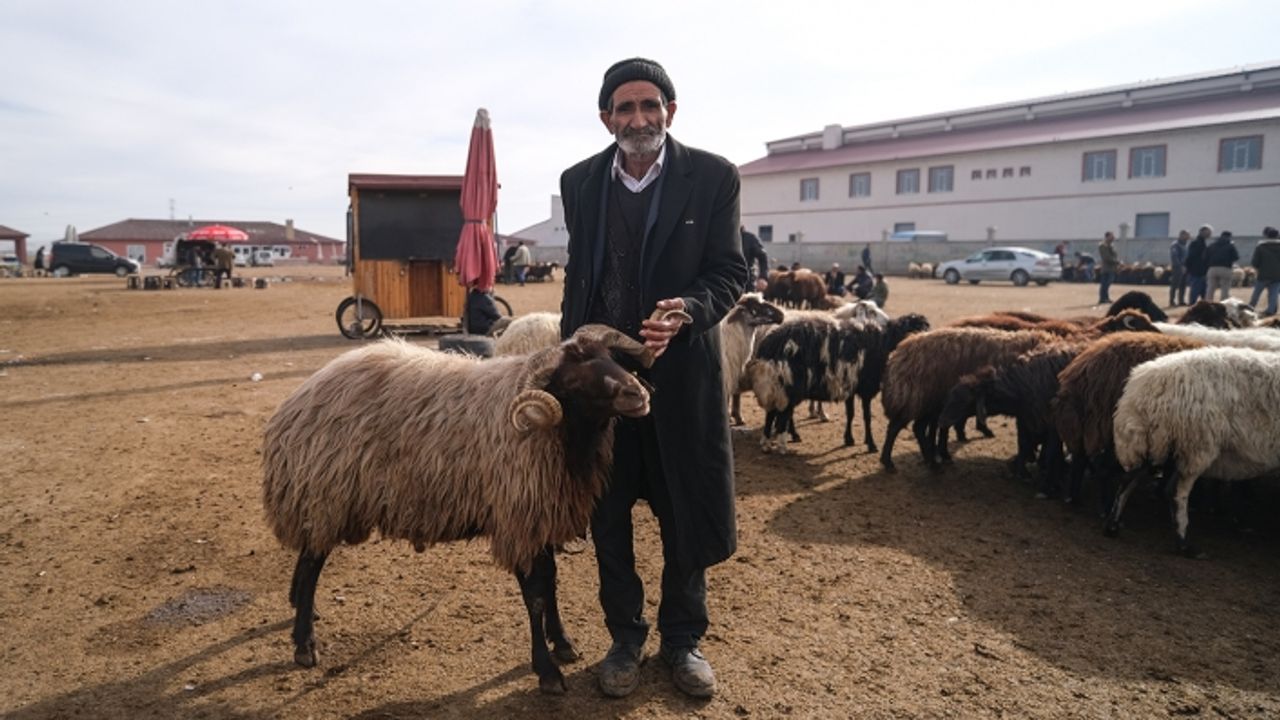 Ağrı'da maliyetler nedeniyle hayvan pazarlarındaki hareketlilik giderek azalıyor