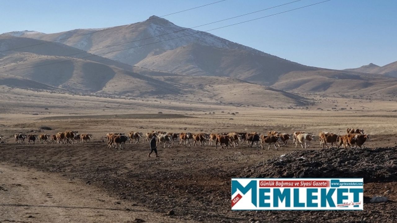 Karın yağmaması yetiştiriciler için girdi maliyetlerini azaltarak avantaj sağladı