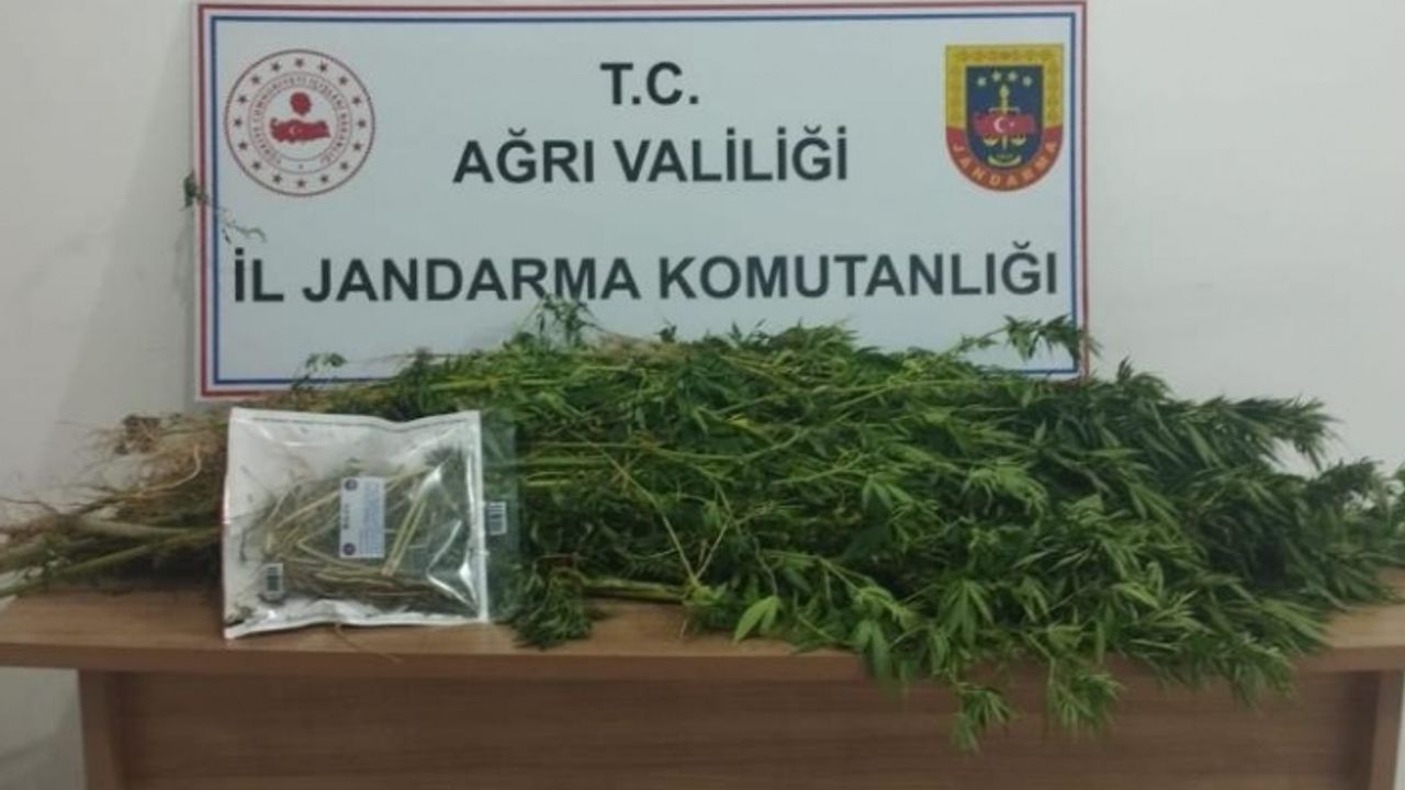 Ağrı’da kaçakçılık ve uyuşturucu operasyonu: 143 gözaltı