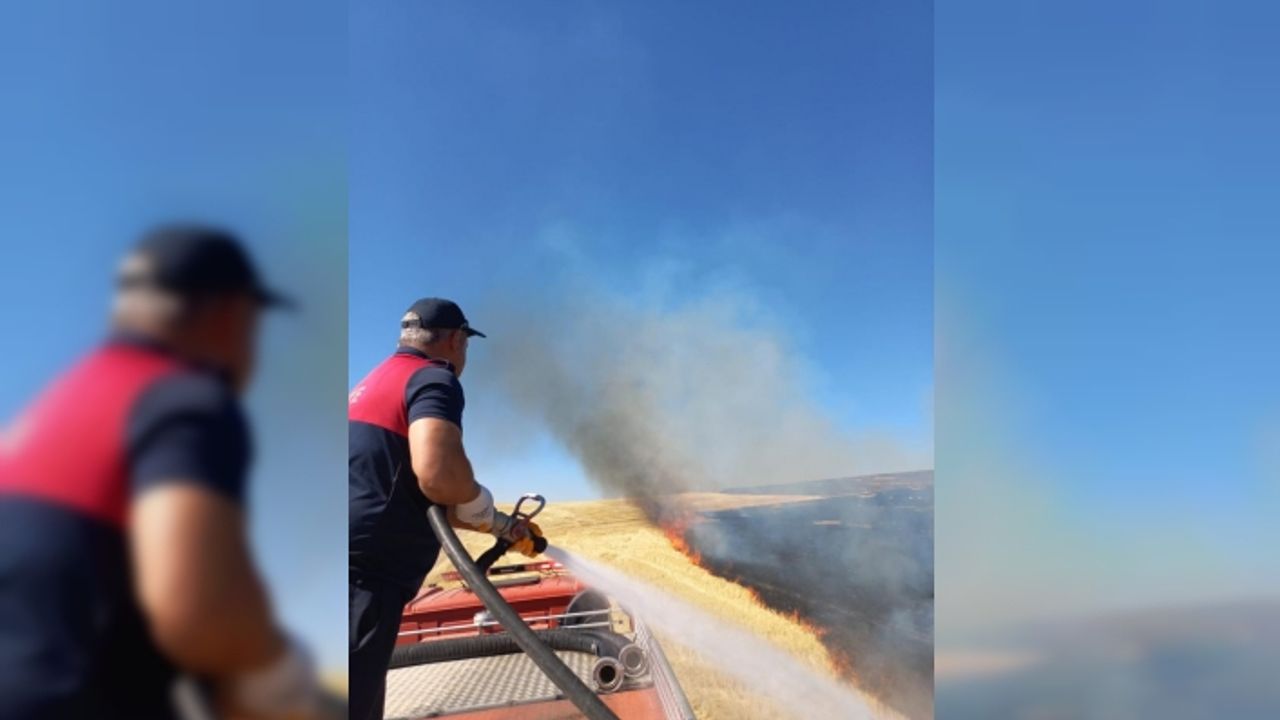 Ağrı’da onlarca dönüm ekili tarla küle döndü