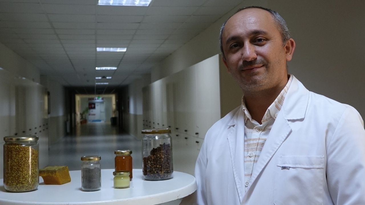 Gramı 2 milyon Dolara satılan arı zehrindeki medittin AİÇÜ tarafından izole edilebildi