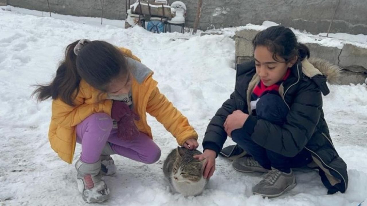 Ağrı’da soğuk hava sokak hayvanlarına zor anlar yaşatıyor