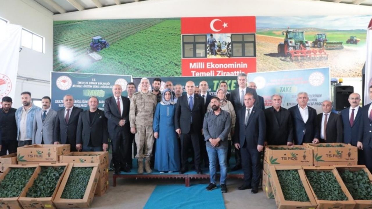 Ağrı’da 500 işletmeye 250 sebze fidesi dağıtıldı