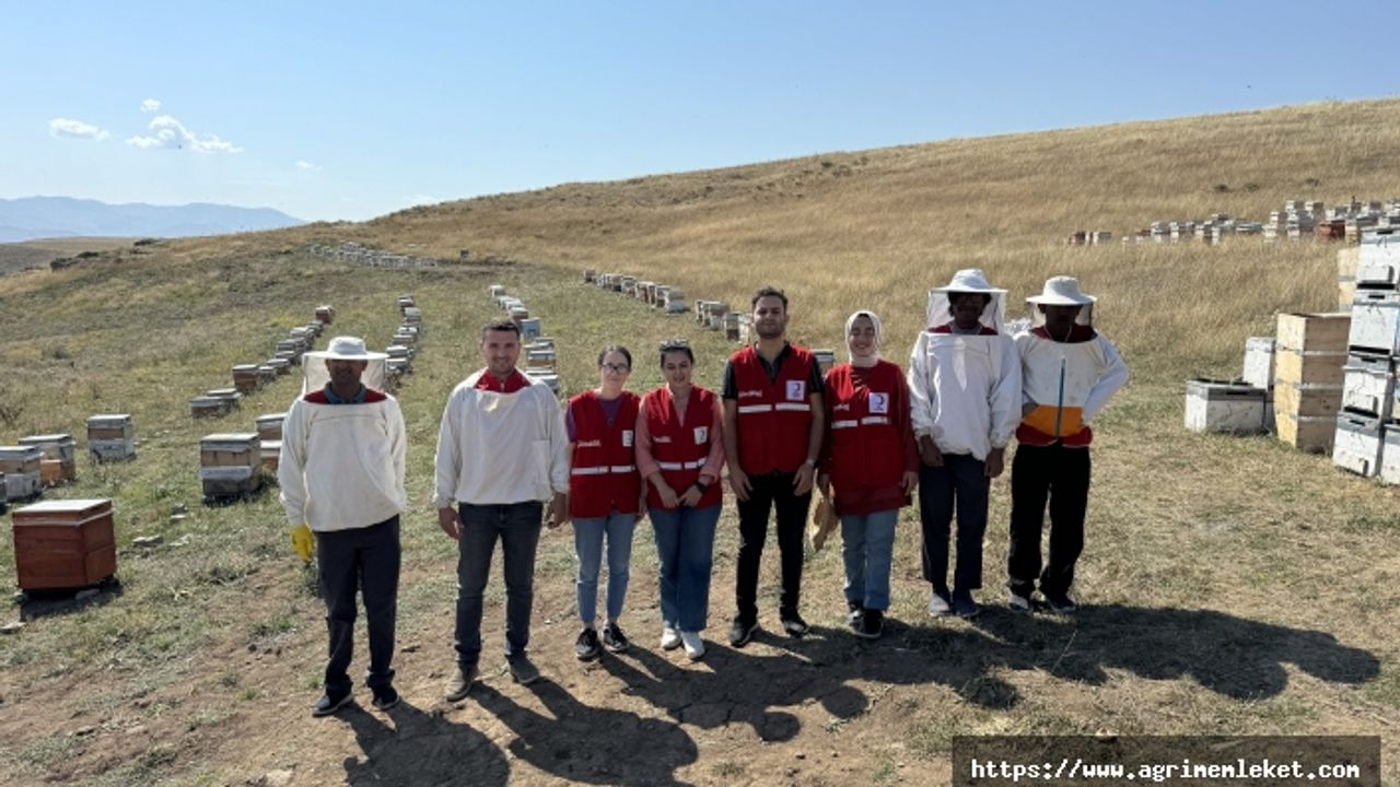 Kızılay'ın arıları ihtiyaç sahiplerine "şifa ve iyilik" getiriyor