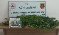 Ağrı’da kaçakçılık ve uyuşturucu operasyonu: 143 gözaltı