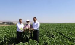 Ağrı’da Tarım ve Orman Müdürü Kenan Engin  çiftçi ve veteriner hekimleri ziyaret etti