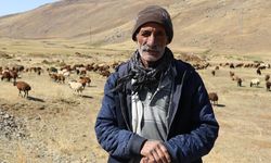 Ağrı'da yaylada sürüleri için 6 ay geçiren çobanlar dönüş hazırlığına başladı
