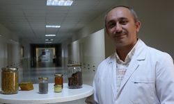 Gramı 2 milyon Dolara satılan arı zehrindeki medittin AİÇÜ tarafından izole edilebildi