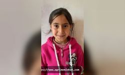Viyan’ın ölümü eğitim camiasını yasa boğdu