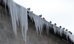 Erzurum, Ağrı, Tunceli ile Ardahan'da soğuk hava ve sis etkili oldu