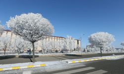 Ardahan, Kars ve Ağrı'da kar yerini soğuk havaya bıraktı