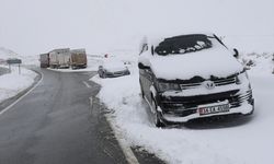 Ardahan, Iğdır ile Ağrı'da kar ve tipi nedeniyle 255 köy yolu ulaşıma kapandı