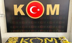 Ağrı'da usulsüz şekilde hayvan sevki yaptıkları iddiasıyla 9 şüpheli yakalandı