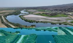 Ağrı Dağı'nın eteklerindeki sulak alanlar turizme kazandırılıyor
