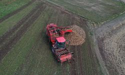 Ağrı'da devlet desteğiyle ekilen tarım ürünlerinde çeşitlilik artıyor