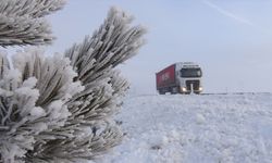 Ağrı, Ardahan, Tunceli ile Kars'ta sis ve buzlanma etkili oldu