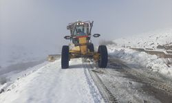 Ağrı'da kar nedeniyle kapanan köy yolları yapılan çalışmayla açıldı