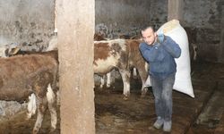 Ağrılı genç veteriner tekniker hibe desteğiyle hayvancılık işini büyüttü