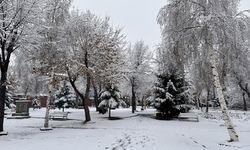 Erzurum, Kars, Ardahan, Ağrı ve Tunceli'de kar yağışı etkili oldu