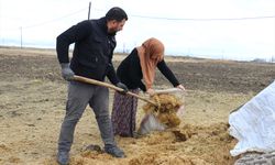 Gelin gittiği Ağrı'da köye ayak uyduran kadın besicilikte örnek oluyor