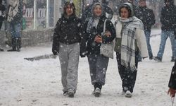 Ağrı'da kar yağışı etkili oluyor