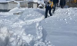 Ağrı'da mezrada doğumu başlayan kadın bebeğini sağlıkçıların yardımıyla dünyaya getirdi