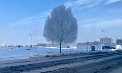Erzurum, Ağrı, Ardahan ve Kars'ta dondurucu soğuklar etkili oluyor