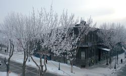 Erzurum, Ağrı, Ardahan ve Kars'ta soğuk hava etkisini sürdürüyor