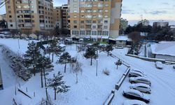 Erzurum, Ardahan, Tunceli, Kars ve Ağrı'da dondurucu soğuklar yaşamı güçleştiriyor