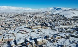 Erzurum, Kars, Ağrı, Tunceli ile Ardahan'da kar ve soğuk hava etkili oldu