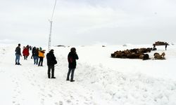 Ağrı'nın zorlu kış yaşamı ve doğal güzellikleri fotoğrafçıların rotasında