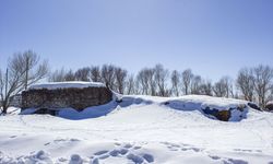 Erzurum, Kars, Ağrı ve Ardahan'da kar etkili oldu