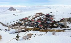 Ağrı'da küçükbaş hayvanların karlı dağlarda 'tek sıra' beslenme yolculuğu