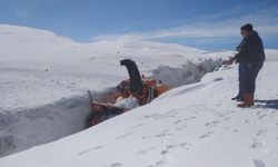 Kar nedeniyle kapanan Kağızman-Ağrı kara yolu ulaşıma açıldı