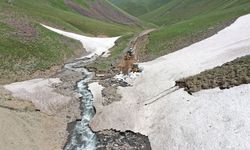 Ağrı'da haziranın sonunda karla kaplı olan yayla yolları göçerler için açılıyor