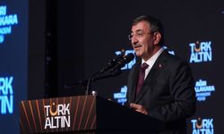 Cumhurbaşkanı Yardımcısı Cevdet Yılmaz 'Ağrı Mollakara Altın Madeni Açılışı'nda konuştu: (2)