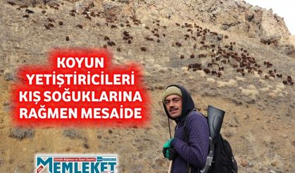 KOYUN YETİŞTİRİCİLERİ KIŞ SOĞUKLARINA RAĞMEN MESAİDE
