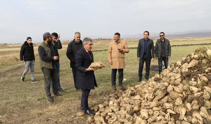 AĞRI MERKEZ OZANLAR KÖYÜNDE PANCAR HASADI YAPILDI