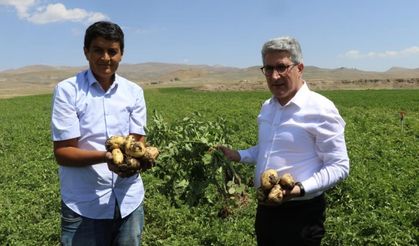 Ağrı’da patates üreticilerine destek