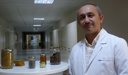 Gramı 2 milyon Dolara satılan arı zehrindeki medittin AİÇÜ tarafından izole edilebildi