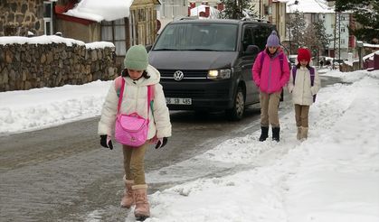 Kars ile Ağrı'da kar yağışı ve soğuk hava etkili oluyor