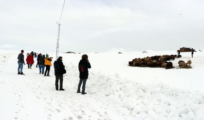 Ağrı'nın zorlu kış yaşamı ve doğal güzellikleri fotoğrafçıların rotasında