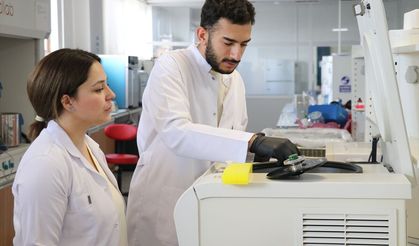 Ağrı'da akademisyen çift çeşitli hastalıkları araştırmak için zebra balığından yararlanıyor