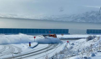 Erzurum'da soğuk hava, Ardahan, Ağrı ve Kars'ta kar etkili oldu
