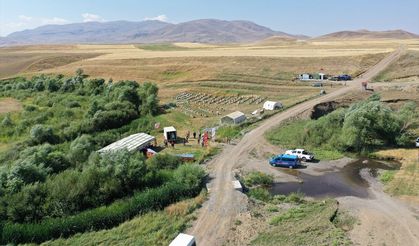 Zengin floraya sahip Ağrı'da tescilli geven balında 357 ton verim bekleniyor