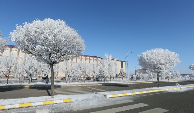 Ardahan, Kars ve Ağrı'da kar yerini soğuk havaya bıraktı