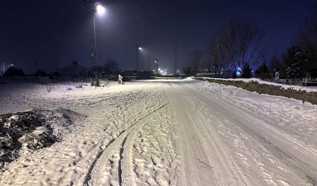 Erzurum, Kars, Ardahan ile Ağrı'da kar ve soğuk hava etkili oldu