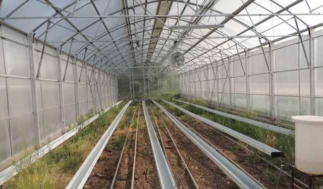 Ağrı'nın da dahil olduğu 15 ile 423 milyon lira  destek